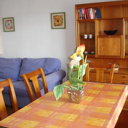 Apartamento Palmeras - Benidorm