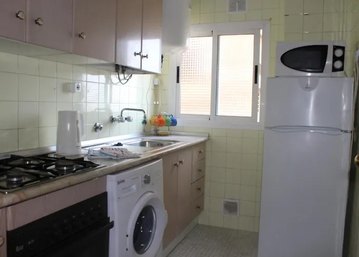 Palmeras -